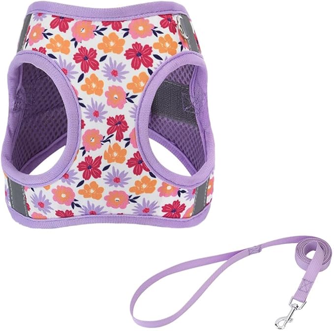 Step in Dog Harness and Leash Set, Flower Adjustable Easy Walk Puppy Harnesses, Soft Mesh No Pull Pet Vest Harness for Small Dogs and Cats(Flower, XS)