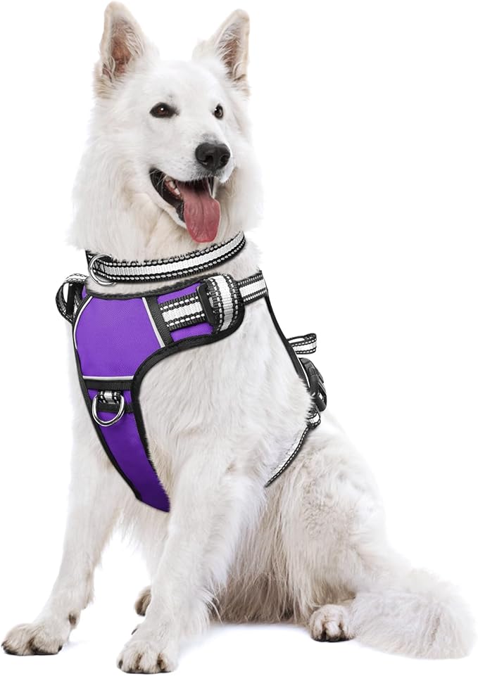 WINSEE Dog Harness No Pull, Pet Harnesses with Dog Collar, Adjustable Reflective Oxford Outdoor Vest, Front/Back Leash Clips for Small, Medium, Large, Extra Large Dogs, Easy Control Handle for Walking