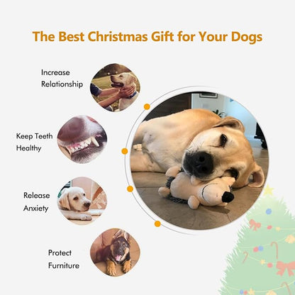 CPYOSN Dog Squeaky Toys, Durable Stuffed Crinkle Plush Dog Chew Toys for Puppy Teething, Interactive Dog Toys for Small, Medium and Large Dogs (Grey+Yellow, Hedgehogs)