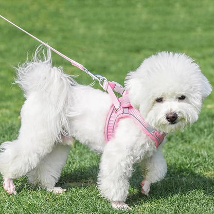 AIITLE Dog Harness, No-Pull Cat Harness with a Leash, Adjustable Reflective Dog Vest, Cat Harness Escape Proof, Outdoor Walking, Running,Training for Extra Small Dogs and House Cats Pure Pink XXXS