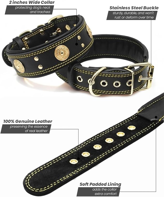Leather Dog Collar, 2 inches Wide Heavy Duty Genuine Leather Collars, Handmade, Soft, and Luxury, Eye-catching Best Choice for Large and Medium Breed Dogs, Black-Gold 15-19 ins