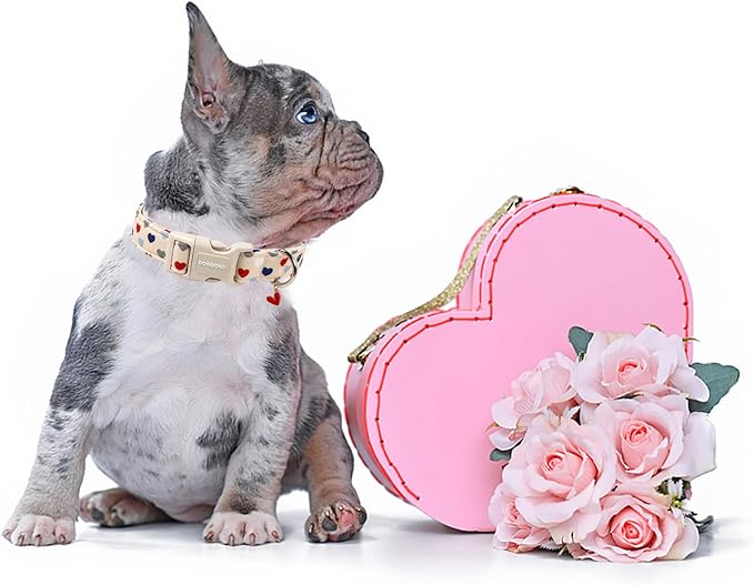 DOGWONG Valentine's Dog Collar-Hearts Print Dog Collar for Large Cute Dog Collars Spring Female Male Pet Gift Adjustable Heavy-Duty Soft Collar，XS