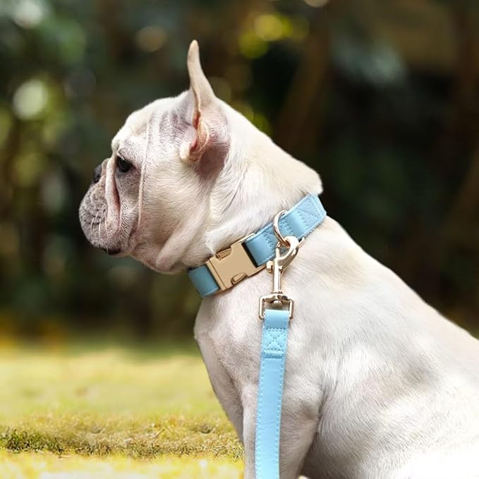 PET ARTIST Soft PU Leather Dog Collar and Leash Set, Bright & Stylish 5FT PU Leather Leash and Collar Set, Durable Pet Collars with Quick Release Metal Buckle for Medium Dogs,Blue,M(13-19")
