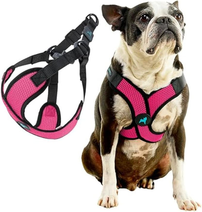 Gooby Comfort X Step in Lite Dog Harness - Choke Free, Escape Free with Light Breathable Mesh - Dog Harness for Small and Medium Breeds - Quick Release Buckle, Metal D-Rings - Flamingo Pink, Medium