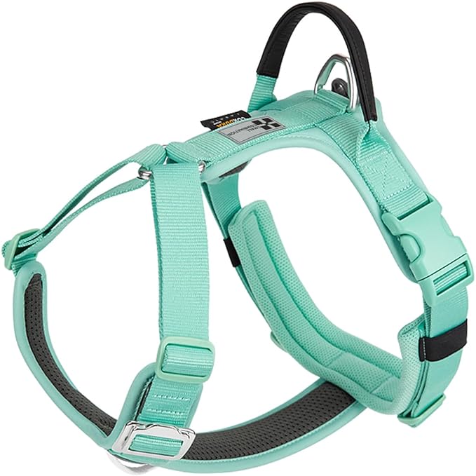 Adjustable Dog Harness with Handle, Padded Comfort,Small, Medium and Large Dogs (Aqua Green, XL)