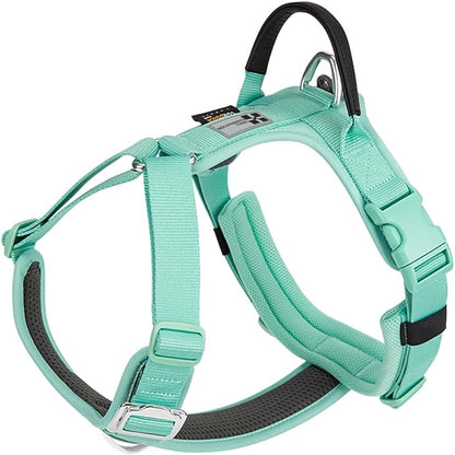 Adjustable Dog Harness with Handle, Padded Comfort,Small, Medium and Large Dogs (Aqua Green, XL)