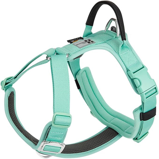 Adjustable Dog Harness with Handle, Padded Comfort,Small, Medium and Large Dogs (Aqua Green, M)