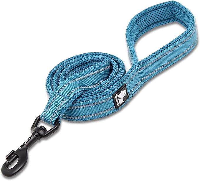 TRUE LOVE Reflective Dog Leash Puppy Walking Lead, Padded Pet Chain Rope，Length 110cm Truelove TLL2111(Blue,L)