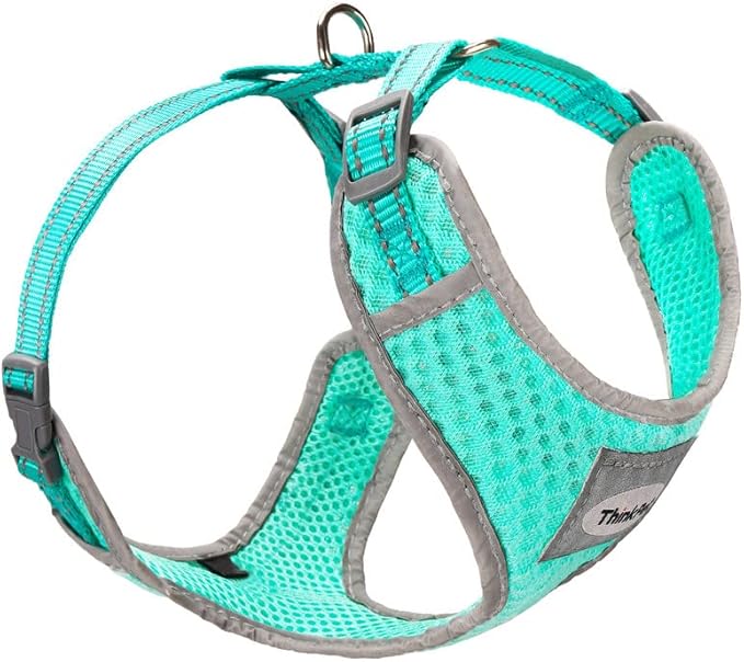 ThinkPet Reflective Breathable Soft Air Mesh No Pull Puppy Choke Free Over Head Vest Ventilation Harness for Puppy Small Medium Dogs and Cats(XS,Green)