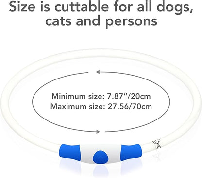 Colaseeme LED Dog Collar Light Up Dog Collars 1 Count USB Rechargeable TPU Glow Safety Basic Dog Collars for Large Medium Small Dogs (Purple)