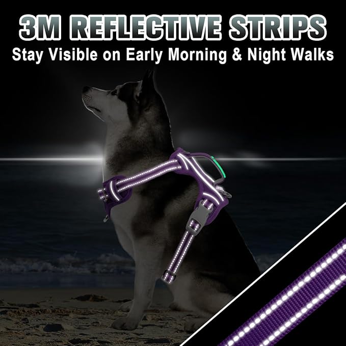 BARKBAY No Pull Dog Harness Large Reflective Dog Harness with Front Clip and Easy Control Handle for Walking Training Running with ID tag Pocket(Purple,M)