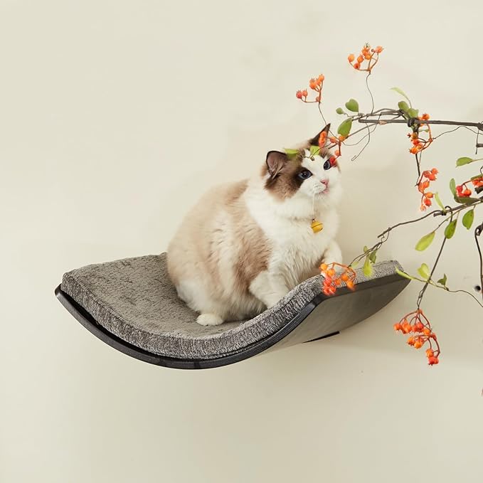 LIORCE Cat Shelf with Comfortable Cushion - Curved Modern Cat Bed (Large Size) - Lotus Leaf Design Cats Wall Perch - Wall Mounted Cats Furniture for Sleeping, Playing, Climbing, and Lounging, Walnut