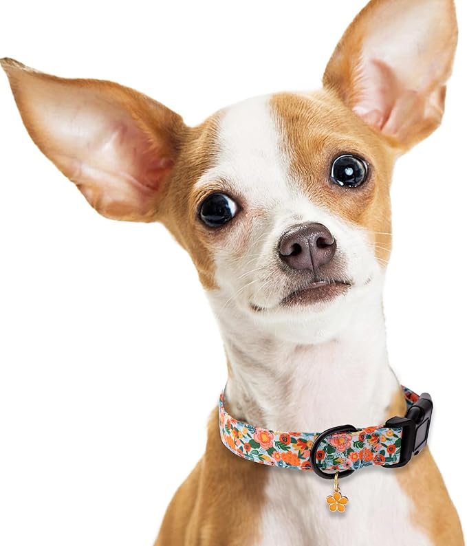 Faygarsle Dog Collar for Small Medium Large Dogs Cute Gaily Colored Puppy Collars for Female Dogs Floral Patterned Pet Collars for Summer Spring Wedding Puppy Girl Dog Collar L