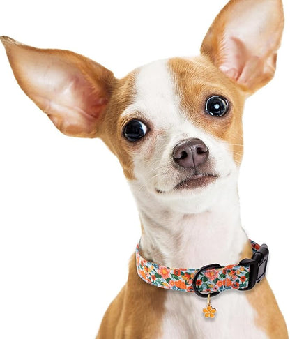 Faygarsle Dog Collar for Small Medium Large Dogs Cute Gaily Colored Puppy Collars for Female Dogs Floral Patterned Pet Collars for Summer Spring Wedding Puppy Girl Dog Collar L