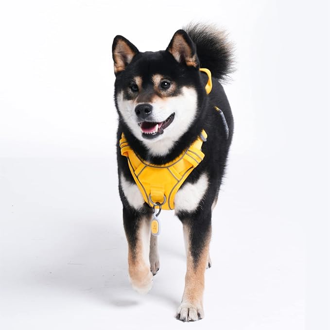 Pawaii Dog Harness (Medium, Pineapple Yellow), Soft Padded, No-Choke, Reflective, Digital ID Tag, Adjustable, for Daily Walking or Training