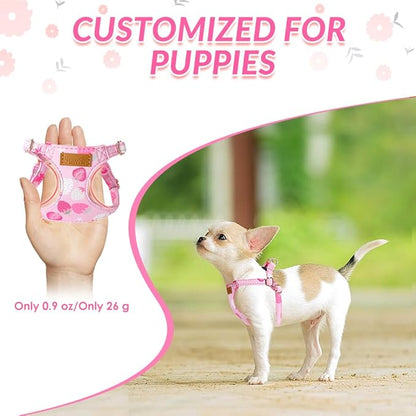 SlowTon No Pull Dog Harness with Leash - Soft Lightweight Floral Pattern Puppy Harness, Adjustable Pet Harness for Small Medium Dogs (Pink Strawberry, XS)