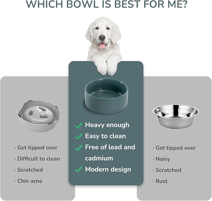 SPUNKYJUNKY 28.7OZ Ceramic Dog and Cat Bowl, Modern Cute Weighted Food Water Bowl for Replacement Light Green (1 Pack)