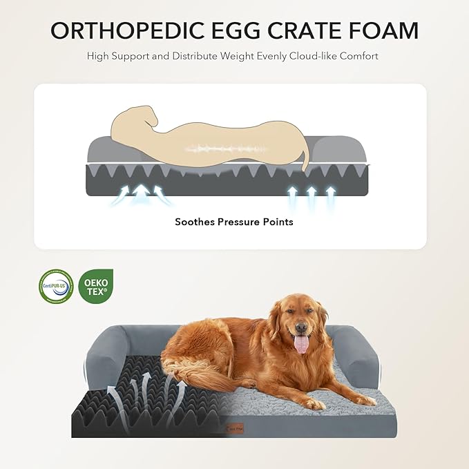 Casa Paw Orthopedic XXL Dog Beds, Waterproof Egg Crate Foam Big Pet Bed for All Breed Sized Dogs 53x42Inch, Washable Extra Large Dog Couch Bed with Removable Cover and Non-Slip Bottom, Grey