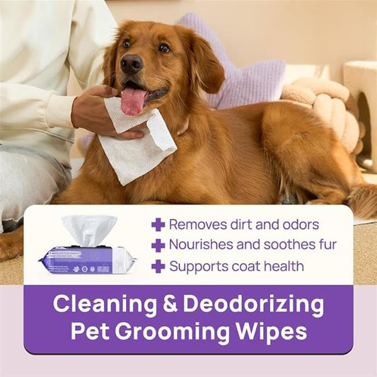 HICC PET Cleaning Deodorizing Wipes for Dogs & Cats, Vet Recommended Plant-Based Pet Grooming Wipes, Fermented Coconut Oil Grooming Paws, Body and Butt, Family Size Supply 400 Count, Rose