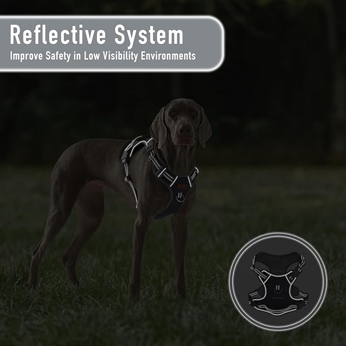 Dog Harness X-Large No Pull Easy Walker Escape Proof with Handle Reflective with 2 Leash Clips and 3 Buckles, No Rub No Choke, Newfoundland Alaska German Shepherd Mastiffs, XL