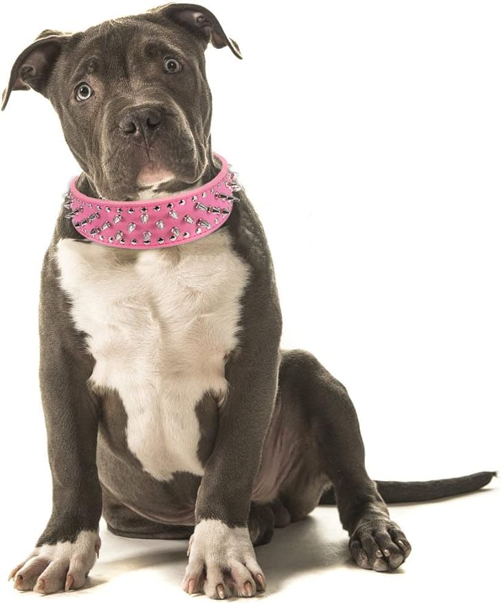 Hoot PU Leather Adjustable Spiked Studded Dog Collar 2" Wide 25 Spikes (XS(Neck 15"-18"), Rose Red)