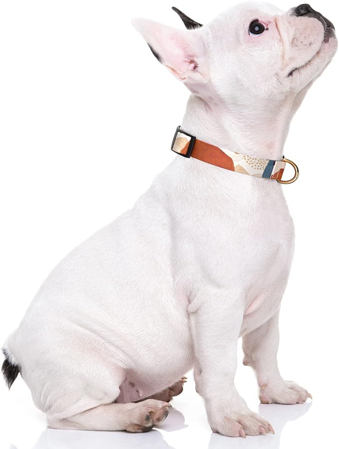 Rnivvi Dog Collar for Small Dogs, Cute Heavy Duty Adjustable Puppy Collar with Quick Release Buckle for Boy Girl & Female, Pet Accessories for Walking Running, S Length 3/4" Width, Abstract Art