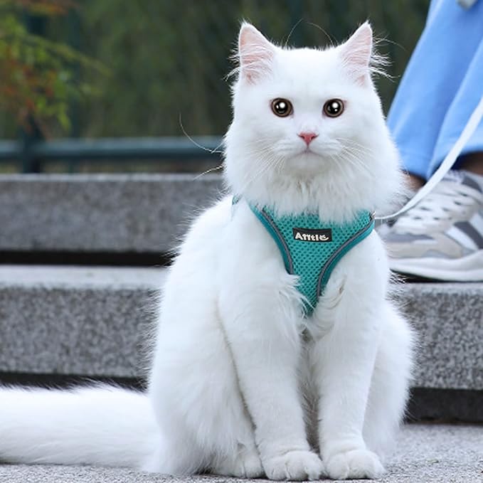 AIITLE Dog Harness, No-Pull Cat Harness with a Leash, Adjustable Reflective Dog Vest, Cat Harness Escape Proof, Outdoor Walking, Running for Extra Small Dogs and House Cats Pure Turquoise XXXS