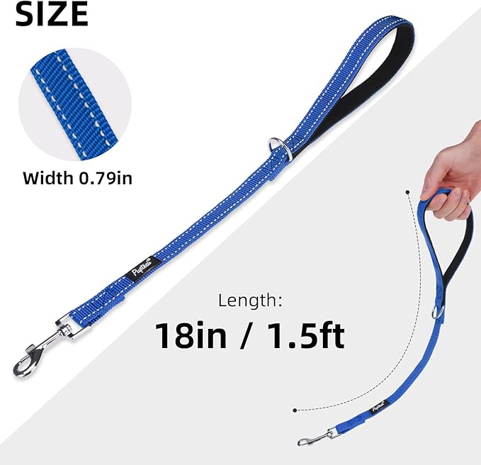 PUPTECK Reflective Dog Leash with Comfortable Padded Handle Durable Nylon Dog Lead for Small Medium and Large Dogs Cats Walking Running Training Outside, Blue