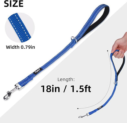 PUPTECK Reflective Dog Leash with Comfortable Padded Handle Durable Nylon Dog Lead for Small Medium and Large Dogs Cats Walking Running Training Outside, Blue
