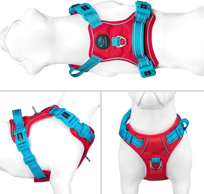 PHOEPET No Pull Dog Harness, Unique Colors Reflective Adjustable Dog Vest, with Soft Training Handle Metal Clips for Small Medium Large Dogs (Red Base & Teal Straps,XS)