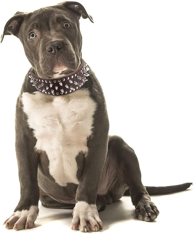 Hoot PU Leather Adjustable Spiked Studded Dog Collar 2" Wide 37 Spikes (M(Neck 19"-22"), Dark Brown)
