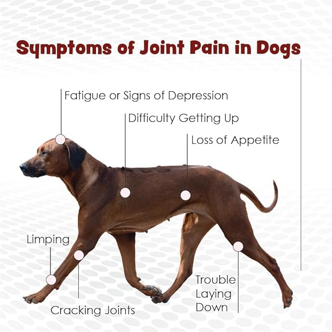 PHS Joint MAX Triple Strength (TS) Chewable Tablets for Dogs - Glucosamine, Chondroitin, MSM - Vitamins, and Antioxidants - Hip and Joint Pain Relief and Support Supplement - Made in USA - 120 Tablets