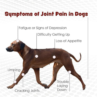 PHS Joint MAX Triple Strength (TS) Chewable Tablets for Dogs - Glucosamine, Chondroitin, MSM - Vitamins, and Antioxidants - Hip and Joint Pain Relief and Support Supplement - Made in USA - 120 Tablets