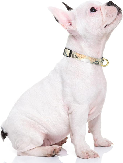 Rnivvi Dog Collar for Small Dogs, Cute Heavy Duty Adjustable Puppy Collar with Quick Release Buckle for Girl & Female, Pet Accessories for Walking Running, XS Length 5/8" Width, Modern Circle Art