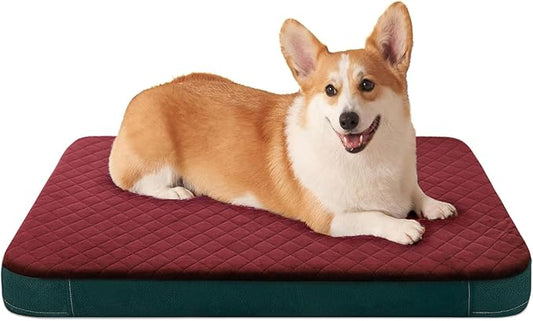 JoicyCo Dog Bed for Medium Dogs, Orthopedic Foam Dog Bed, Joint Relief Pets Sleeping Mattress, Non Slip Bottom with Washable Removable Cover, Wine Red