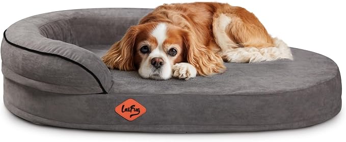 Laifug Memory Foam Oval Dog Bed (54x36x12Inches, Dark Gray), Orthopedic Dog Bed for Dogs with Durable Waterproof Liner & Removable Washable Cover & Nonskid Bottom