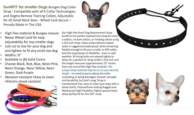 Replacement GPS eCollar with Adjustable Bungee, Multi-Hole Design, and Secure Toggle Closure for Small Dogs (Purple, Small Neck) Reflective