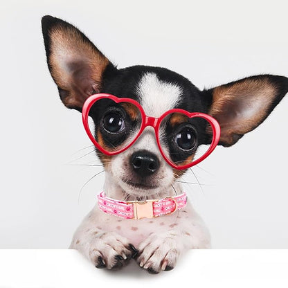 Lionheart glory Valentine Collar, Pink Hearts Dog Collars for Medium Cute Dog Collars Spring Female Pet Gift Adjustable Heavy-Duty Dog Collar Holiday