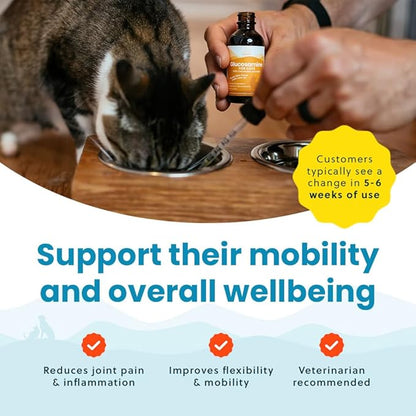 Liquid Glucosamine Chondroitin MSM for Cats, Hip & Joint Support Supplement, Helps Maintain Mobility and Flexibility, Senior Cat Glucosamine Drops for Daily Joint Care, 2oz