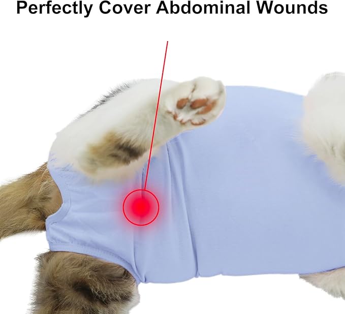 QIYADIN Cat Recovery Suit, Surgical Recovery Clothes for Abdominal Wound or Skin Disease, Cats Onesie After Surgery and Spay, E-Collar Alternative Pajama Suit (Blue, Small)