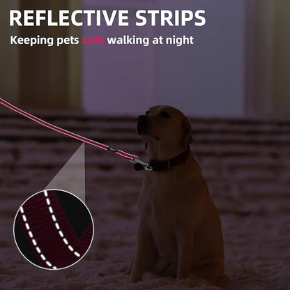 PUPTECK Reflective Dog Leash with Comfortable Padded Handle Durable Nylon Dog Lead for Small Medium and Large Dogs Cats Walking Running Training Outside, Hot Pink