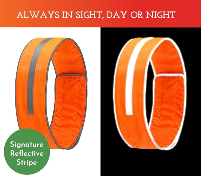 SPOT THE DOG! Reflective Dog Collar - Adjustable Pet Collars, Safe, Durable, Comfortable Dog Walking Accessories for Medium Dog, Hunting Dog, Puppy, Lightweight Boy, Girl Dog Collars (Blaze Orange, M)