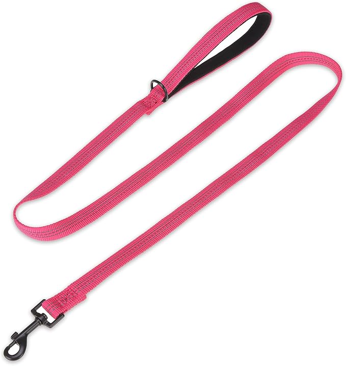 PUPTECK Reflective Dog Leash with Comfortable Padded Handle Durable Nylon Dog Lead for Small Medium and Large Dogs Cats Walking Running Training Outside, Hot Pink, M