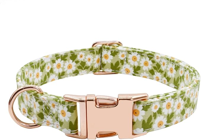 Metal Buckle Dog Collar, Durable Adjustable Dog Collar Soft for Small Medium Large Dogs (003-Green Flower, M(13-18in)