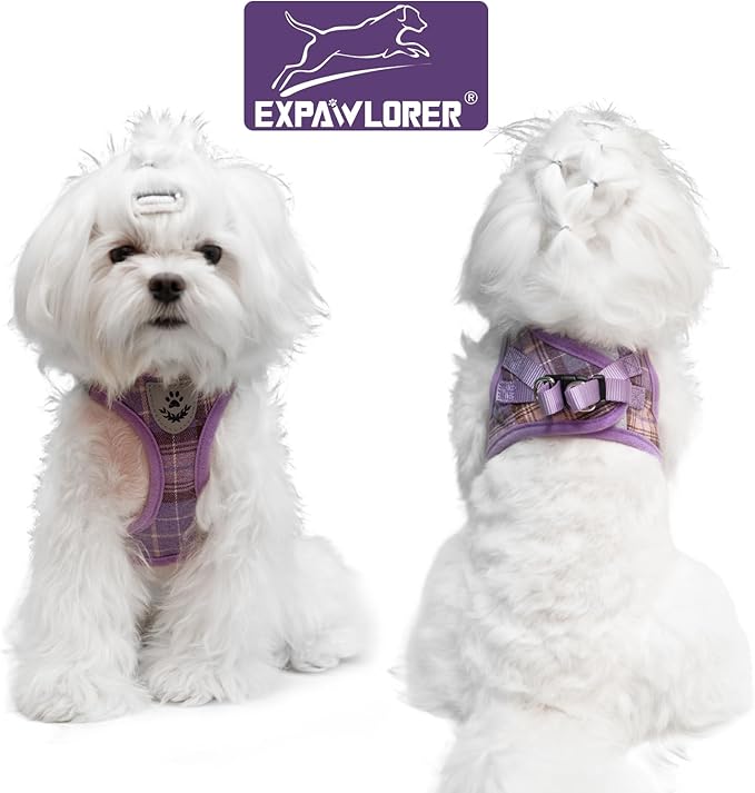 EXPAWLORER Classic Plaid Puppy Harness - Small Dog Harness and Leash Set - Dog Collar and Leash Set with AirTag Holder, Soft Padded Step in Dog Vest Harness No Pull Reflective for Outdoor, Purple S