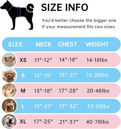 IVY&LANE No Pull Dog Harness for Medium Dogs, Dog Vest Harness with Leash, Safety Belt and Storage Strap, Fully Adjustable, 360° Reflective Strip, Soft Handle (Blue, M)