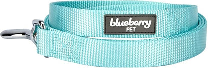 Blueberry Pet Essentials Mint Blue Dog Leash for Small -5' * 5/8" Dogs | Heavy Duty Nylon Lead | Lightweight Puppy & Cat Leash for Walking & Training