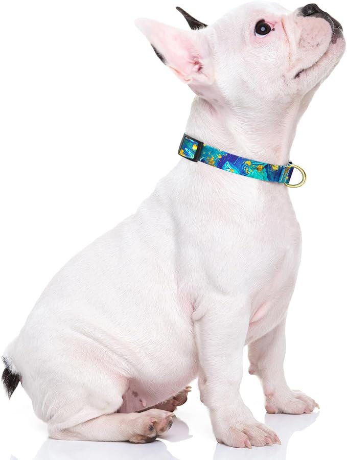 Rnivvi Dog Collar for Small Dogs, Cute Marble Heavy Duty Adjustable Puppy Collar with Quick Release Buckle for Girl & Female, Pet Accessories for Walking Running, XS Length 5/8" Width, Golden Ocean