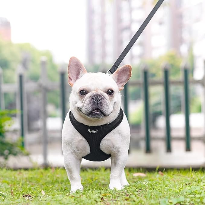 PUPTECK Soft Mesh Dog Harness and Leash Set Pet Puppy Cat Comfort Padded Vest No Pull Harnesses, Solid Black, XS