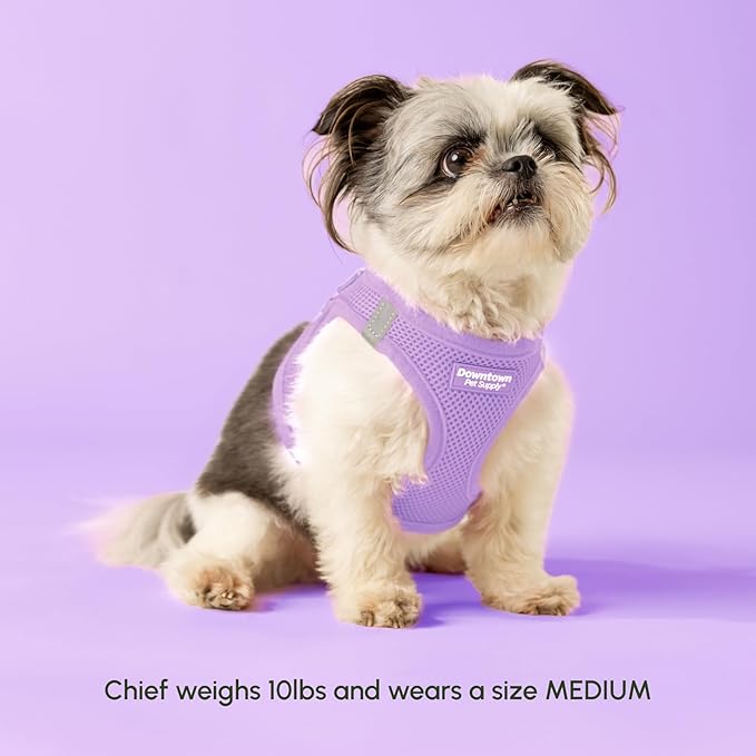 Downtown Pet Supply Step in Dog Harness for Medium Dogs - Adjustable, Escape Proof Dog Harness with Reflective Trim - All-Weather, Fast-Drying Padded Mesh Fabric - Lilac, M
